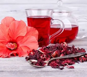 Chá de Hibisco: benefícios, propriedades e como consumir