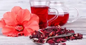 Chá de Hibisco: benefícios, propriedades e como consumir