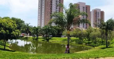 Parque Jerivá: um refúgio verde em Goiânia