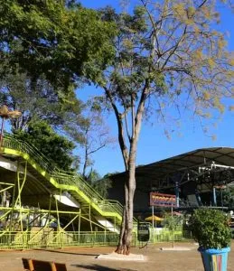 Parque Mutirama: um clássico da diversão em Goiânia