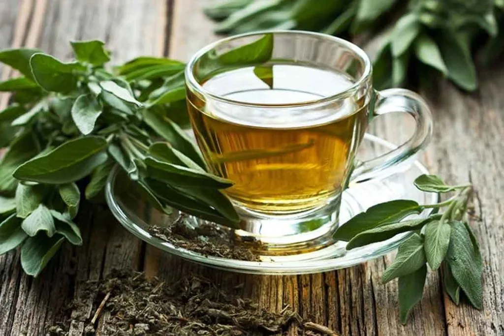 Chá Verde: 10 Benefícios comprovados para saúde, emagrecimento e bem-estar Xícara de chá verde fumegante em um ambiente rústico, com folhas de chá verde espalhadas.