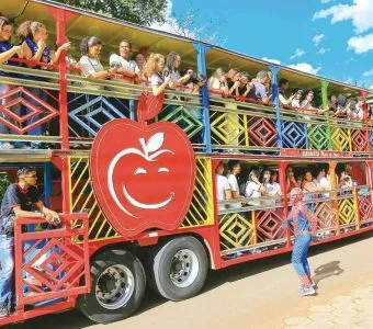 Carreta Furacão em Goiânia: lei proíbe músicas de baixo calão