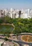 Urbanidade: O que precisa ser feito para Goiânia ter melhor convivência
